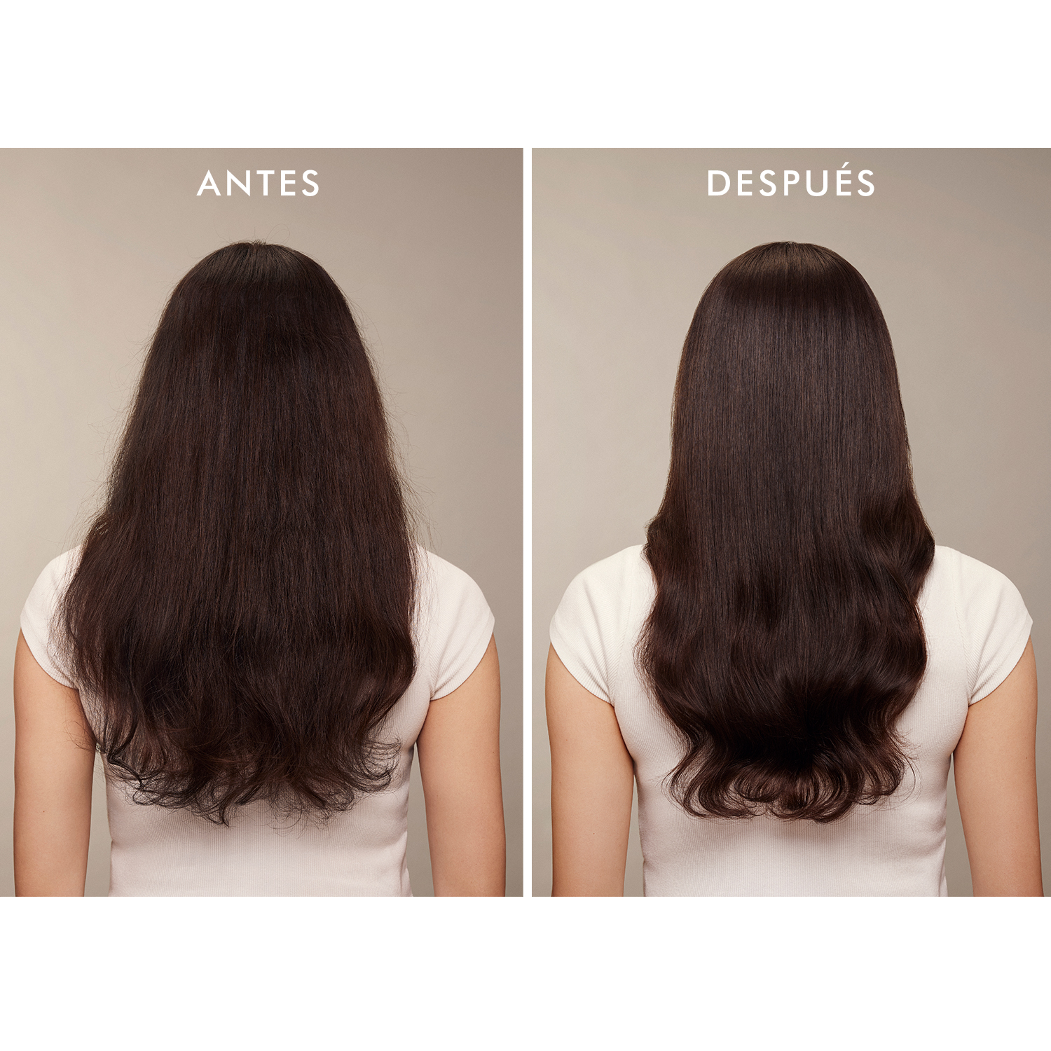 TREATMENT MIST (BRUMA CAPILAR)